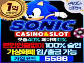 소닉